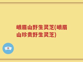 峨眉山野生灵芝(峨眉山珍贵野生灵芝)