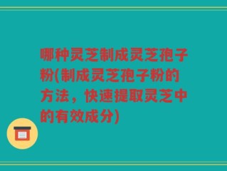 哪种灵芝制成灵芝孢子粉(制成灵芝孢子粉的方法，快速提取灵芝中的有效成分)