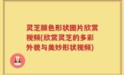 灵芝颜色形状图片欣赏视频(欣赏灵芝的多彩外貌与美妙形状视频)