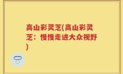 高山彩灵芝(高山彩灵芝：慢慢走进大众视野)