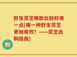 野生灵芝哪款比较好用一点(哪一种野生灵芝更加有效？——灵芝选购指南)