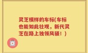 灵芝模样的车标(车标也能如此壮观，新代灵芝在路上独领风骚！)