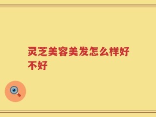 灵芝美容美发怎么样好不好