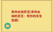 贵州水城灵芝(贵州水城的灵芝：奇妙的天生宝藏)