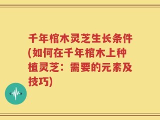 千年棺木灵芝生长条件(如何在千年棺木上种植灵芝：需要的元素及技巧)