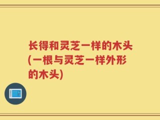 长得和灵芝一样的木头(一根与灵芝一样外形的木头)