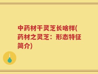 中药材干灵芝长啥样(药材之灵芝：形态特征简介)
