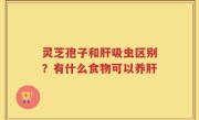 灵芝孢子和肝吸虫区别？有什么食物可以养肝