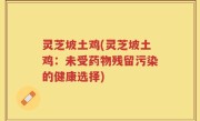 灵芝坡土鸡(灵芝坡土鸡：未受药物残留污染的健康选择)