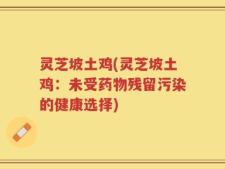 灵芝坡土鸡(灵芝坡土鸡：未受药物残留污染的健康选择)