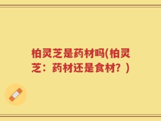 柏灵芝是药材吗(柏灵芝：药材还是食材？)
