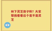 林下灵芝孢子粉？大家帮我看看这个是不是灵芝