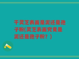 干灵芝表面是泥还是孢子粉(灵芝表面究竟是泥还是孢子粉？)
