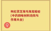 枸杞灵芝海马海龙蛤蚧(中药四味材料功效与作用大全)