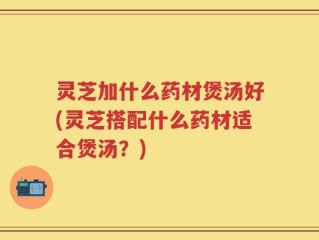 灵芝加什么药材煲汤好(灵芝搭配什么药材适合煲汤？)