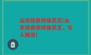 山东冠县祥瑞灵芝(山东冠县现祥瑞灵芝，引人瞩目)