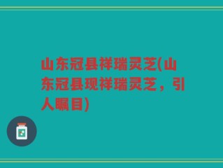 山东冠县祥瑞灵芝(山东冠县现祥瑞灵芝，引人瞩目)