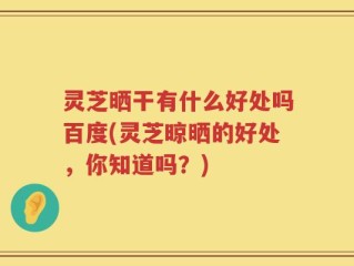 灵芝晒干有什么好处吗百度(灵芝晾晒的好处，你知道吗？)