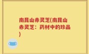 南昆山赤灵芝(南昆山赤灵芝：药材中的珍品)