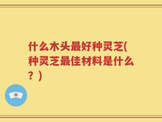 什么木头最好种灵芝(种灵芝最佳材料是什么？)