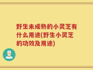 野生未成熟的小灵芝有什么用途(野生小灵芝的功效及用途)