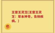 王雷王灵芝(王雷王灵芝：草本神奇，告别疾病。)