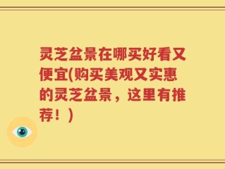 灵芝盆景在哪买好看又便宜(购买美观又实惠的灵芝盆景，这里有推荐！)