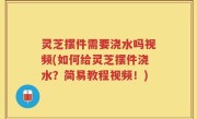 灵芝摆件需要浇水吗视频(如何给灵芝摆件浇水？简易教程视频！)