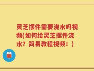 灵芝摆件需要浇水吗视频(如何给灵芝摆件浇水？简易教程视频！)