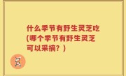什么季节有野生灵芝吃(哪个季节有野生灵芝可以采摘？)