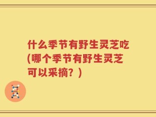 什么季节有野生灵芝吃(哪个季节有野生灵芝可以采摘？)
