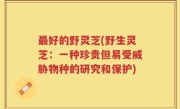 最好的野灵芝(野生灵芝：一种珍贵但易受威胁物种的研究和保护)