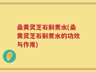 桑黄灵芝石斛煮水(桑黄灵芝石斛煮水的功效与作用)