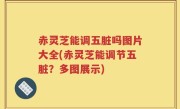 赤灵芝能调五脏吗图片大全(赤灵芝能调节五脏？多图展示)