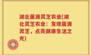 湖北菌源灵芝农业(湖北灵芝农业：发现菌源灵芝，点亮健康生活之光)