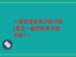 一亩灵芝收多少孢子粉(灵芝一亩可收多少孢子粉？)