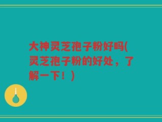 大神灵芝孢子粉好吗(灵芝孢子粉的好处，了解一下！)