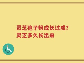 灵芝孢子粉成长过成？灵芝多久长出来