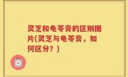 灵芝和龟苓膏的区别图片(灵芝与龟苓膏，如何区分？)