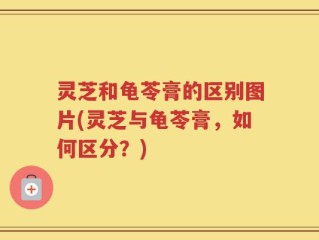 灵芝和龟苓膏的区别图片(灵芝与龟苓膏，如何区分？)