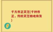 千方养正灵芝(千种养正，传统灵芝精魂焕发)