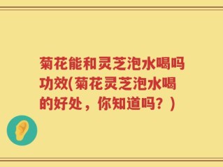 菊花能和灵芝泡水喝吗功效(菊花灵芝泡水喝的好处，你知道吗？)