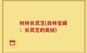 树林长灵芝(森林宝藏：长灵芝的奥秘)