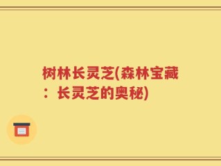 树林长灵芝(森林宝藏：长灵芝的奥秘)