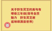 关于野生灵芝的美句有哪些三年级(探寻自然魅力   野生灵芝邂逅琳琅满目世界)