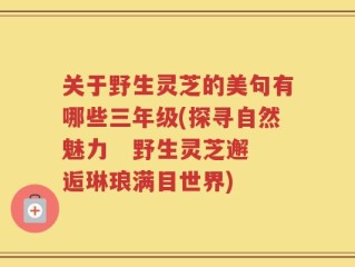 关于野生灵芝的美句有哪些三年级(探寻自然魅力   野生灵芝邂逅琳琅满目世界)