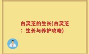 白灵芝的生长(白灵芝：生长与养护攻略)