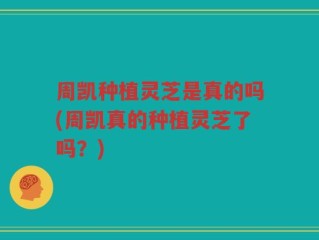 周凯种植灵芝是真的吗(周凯真的种植灵芝了吗？)