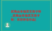 武夷山幸福灵芝孢子粉_武夷山幸福灵芝孢子粉：天然养生珍品)