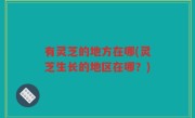 有灵芝的地方在哪(灵芝生长的地区在哪？)
